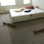Property Rental Rant 3 Property Rental Rant