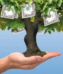 Magic money tree