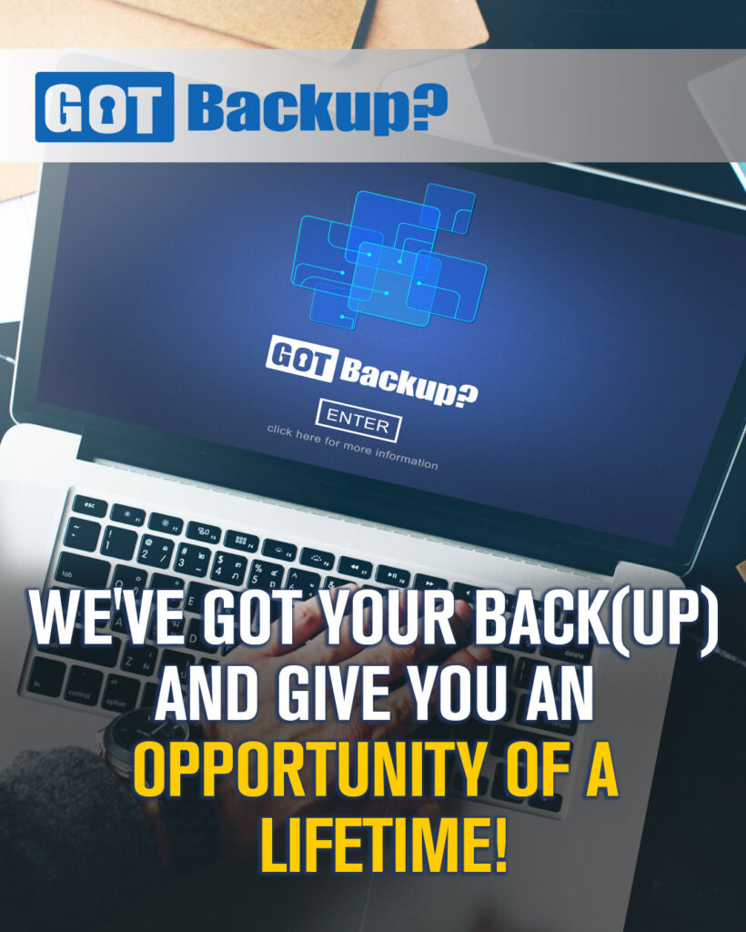 Review of GotBackup business