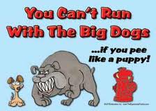 Secrets Of The Big Dogs 2