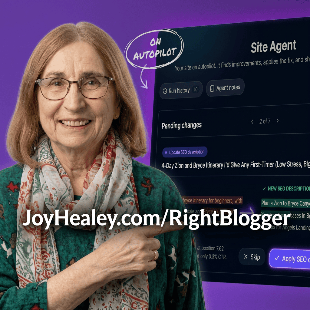 rightblogger site agent for website optimisation