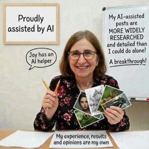 How I Use AI 1