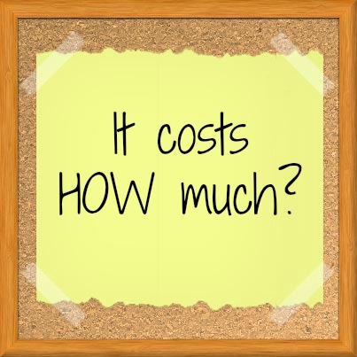 The Cost of Running A Successful Blog