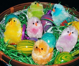 chicks to symbolize a new beginning